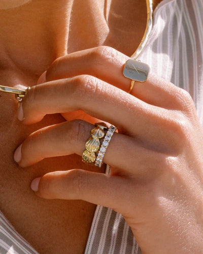 Shell Ring