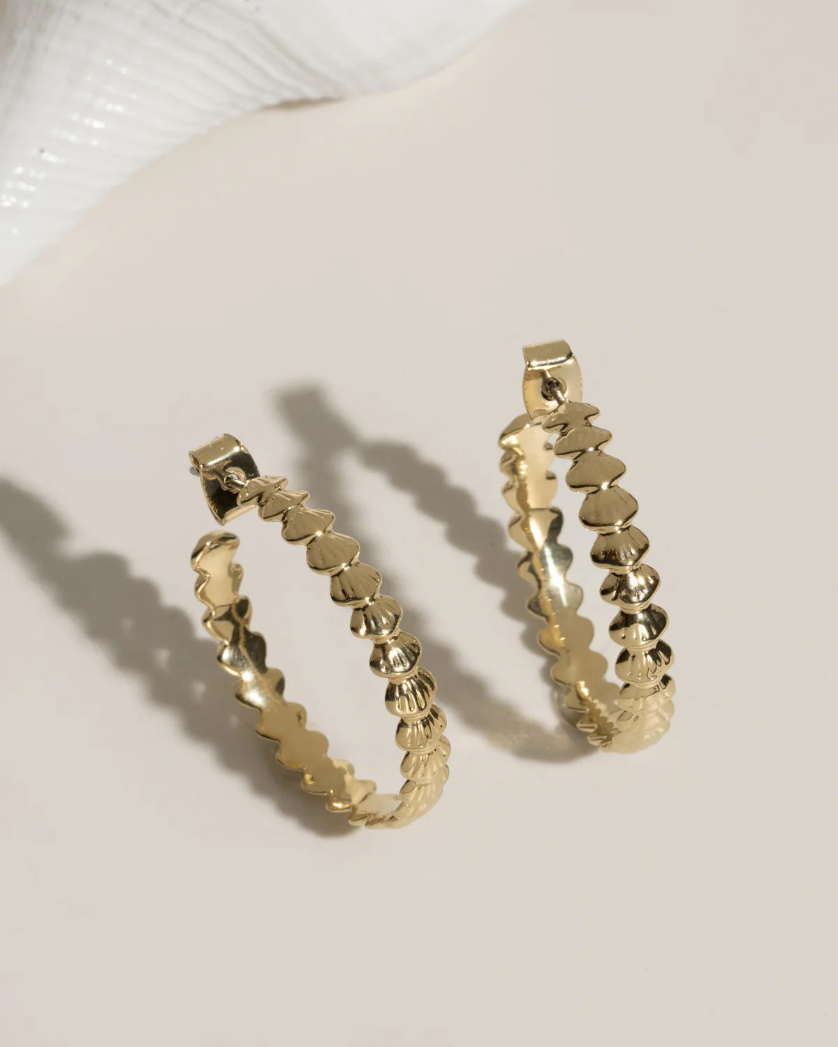 Shell Hoops